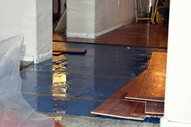 Professional Burst Pipe Cleanup technician working in Mazomanie, WI